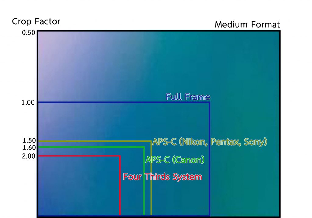 Crop Factor